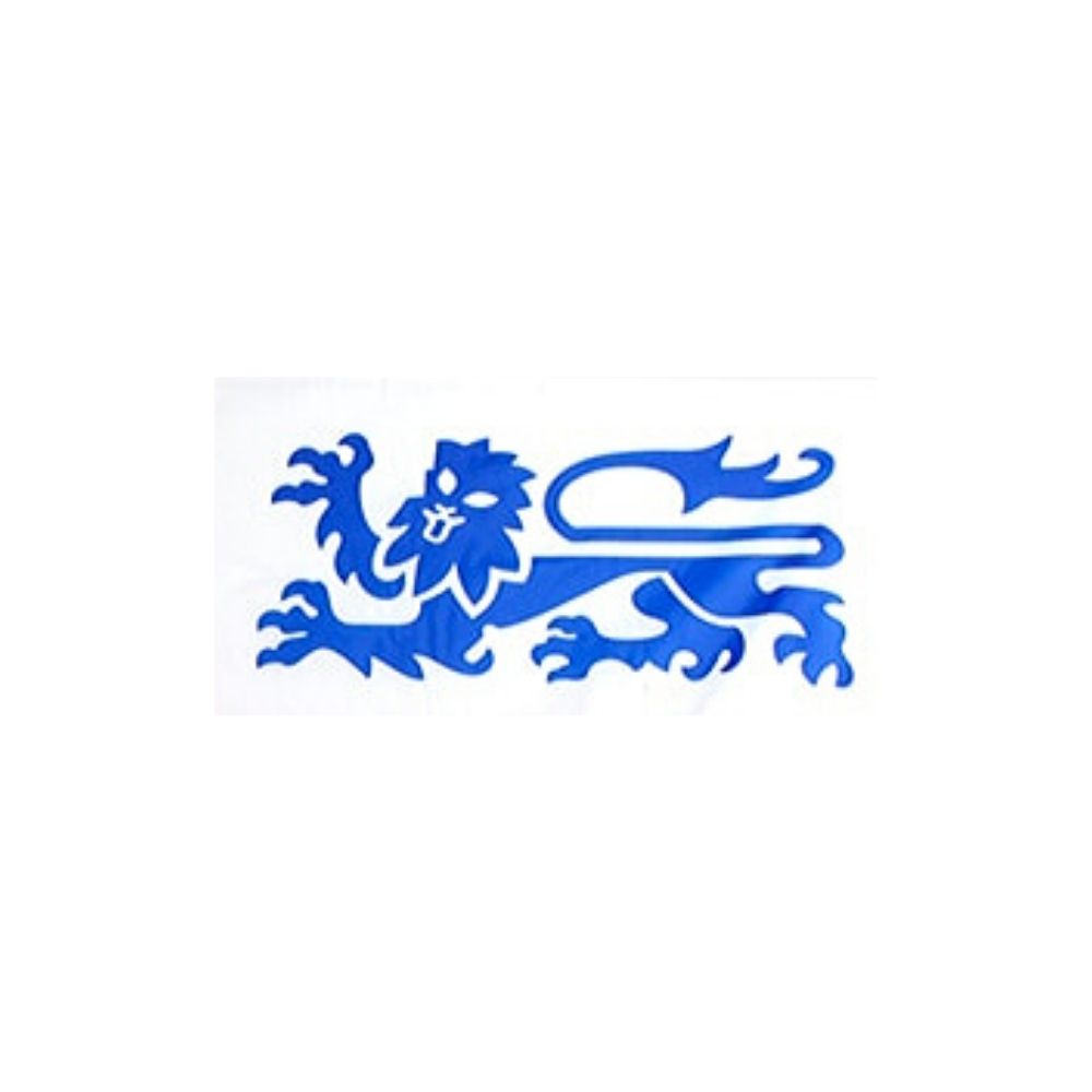 Drapeau Personnalisé Angleterre Lions Avec Manche - Plusieurs Tailles - Foot