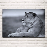 Lion et lionceau toile en noir et blanc.