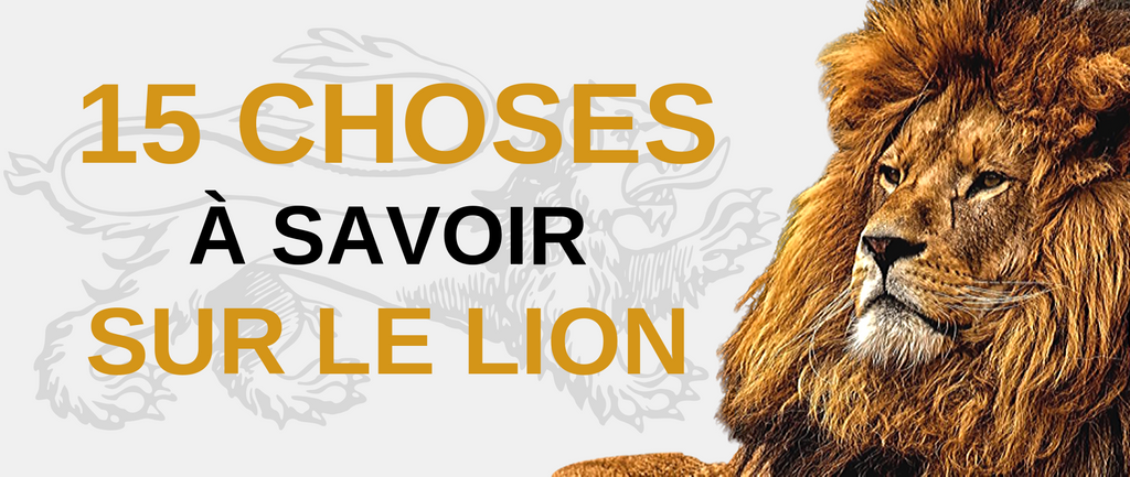 15 Choses sur le Lion que vous devriez savoir - BLOG