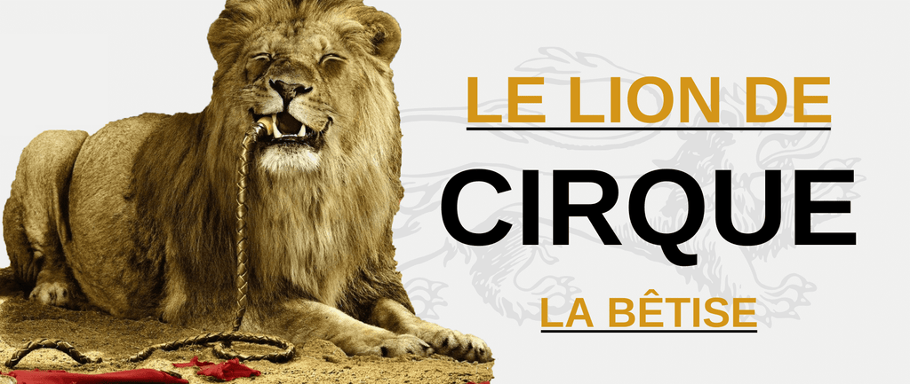 Lion de Cirque : la Bêtise.
