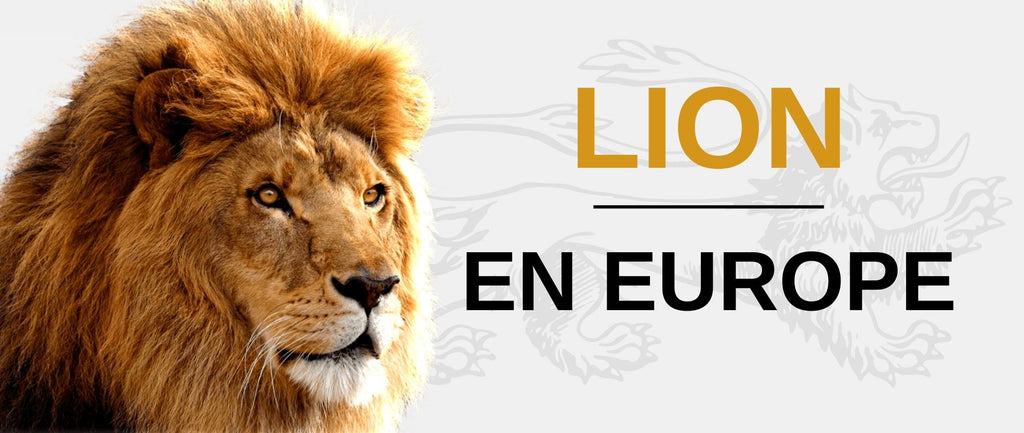 Lion en Europe