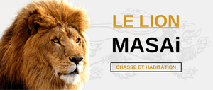 Lion Masaï : Chasse et Habitat
