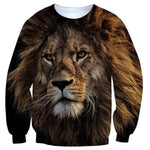 Pull Lion Redoutable