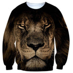 Pull Lion Royaume
