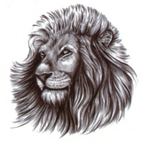 Tatouage Ephémère Tête de Lion