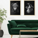 Cadres lion et lionne déco en salon.