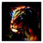 Magnifique toile tête de lion coloré.