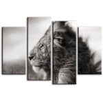 Tableau Lion Ardeur photographie noir et blanc lion