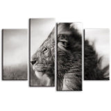 Tableau Lion Ardeur photographie noir et blanc lion