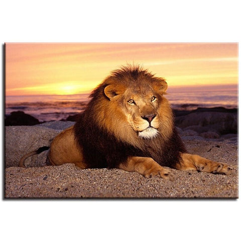 Tableau Lion Gloire photo animal sauvage