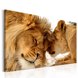 Toiles avec lion et lionne tête contre tête.