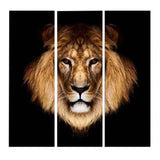 Tableau Lion Allure photo lion couleur