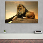 Tableau Lion Attrait photo lion couleur