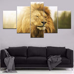 Tableau Lion Constance photo sur toile pour déco