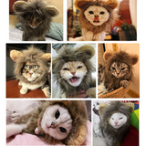 Perruque de Lion pour Chat photos