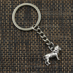 Porte Clés Argent Lion zoom