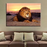 Tableau Lion Gloire photo pour déco sauvage