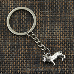 Porte Clés Argent Lion photo