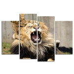 Tableau Lion Grand Format photo lion sur toile murale