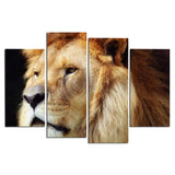Photographie tête de lion 