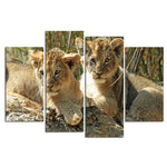 Tableau Lionceaux Couleur photo sur toile lion