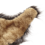 Chat Crinière de Lion Grise oreille