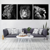 Tableau Lion Noir et Blanc 3 Pièces photo d'animaux sauvages