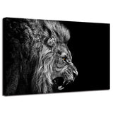 Tableau Déco Lion Rugissant photo tête de lion noir et blanc