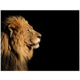 Tableau Lion Simplicité tête de lion