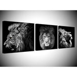 Tableau Lion Noir et Blanc 3 Pièces photo lion pour décoration d'intérieur