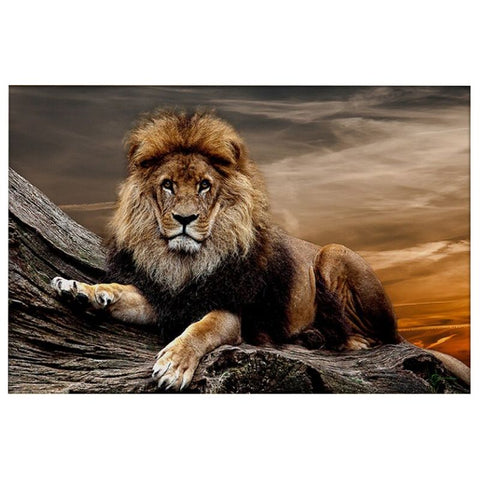 Tableau Lion Splendeur photo de luxe