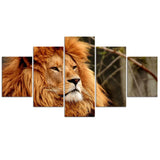 Tableau Lion Volonté décoration d'intérieur nature sauvage