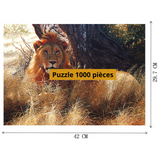 Taille du puzzle lion couleurs.