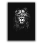 Lion imprimée sur toile déco.