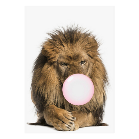 Cadre lion et chewing-gum.