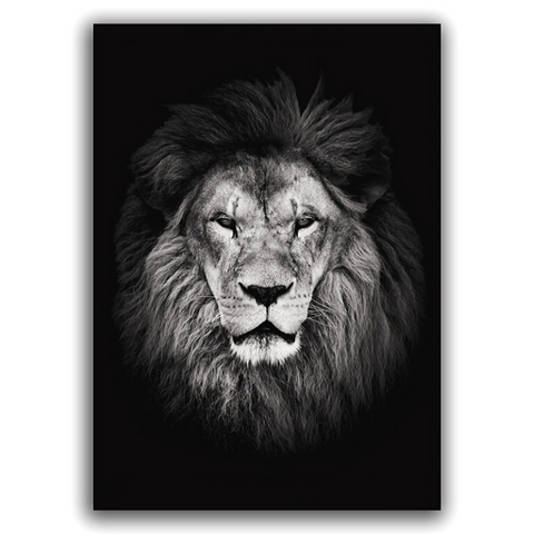 Toile imprimé tête de lion noir et blanc.