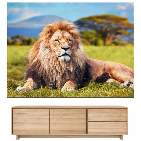 Tableau Lion Couché | Lion Royaume