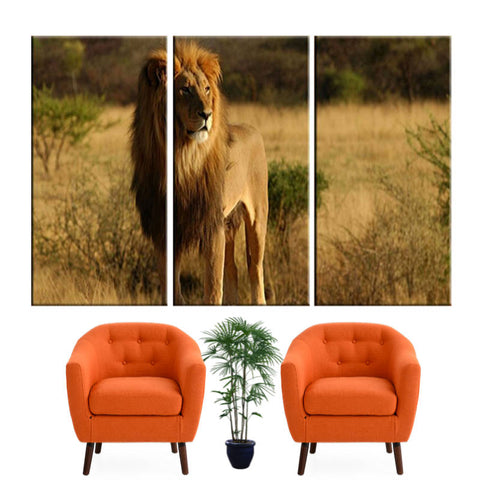 Tableau Lion Nature | Lion Royaume