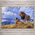 Canva avec ciel bleu et lion et lionne.