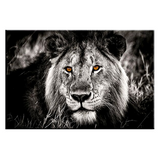 Toile avec lion en noir et blanc.
