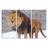 Toile avec grand lion en couleurs.