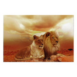 Toile avec lion et lionne en couleurs.