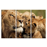 Toile famille de lion.