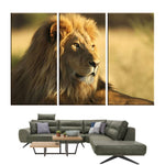 Tableau Photo Lion | Lion Royaume