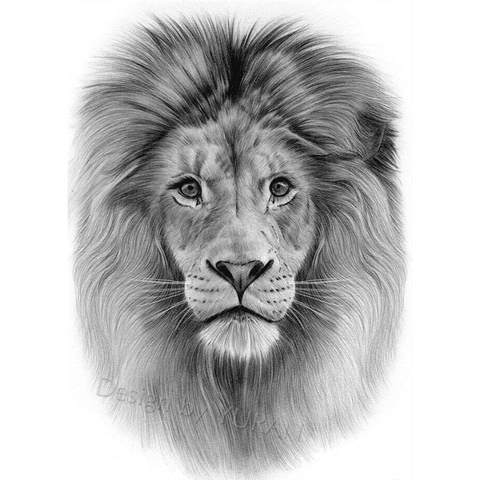 Tatouage Éphémère Lion Douceur