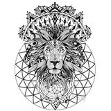 Tatouage Éphémère Lion Artistique