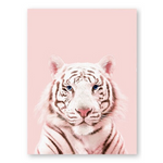 Cadre tigre rose.