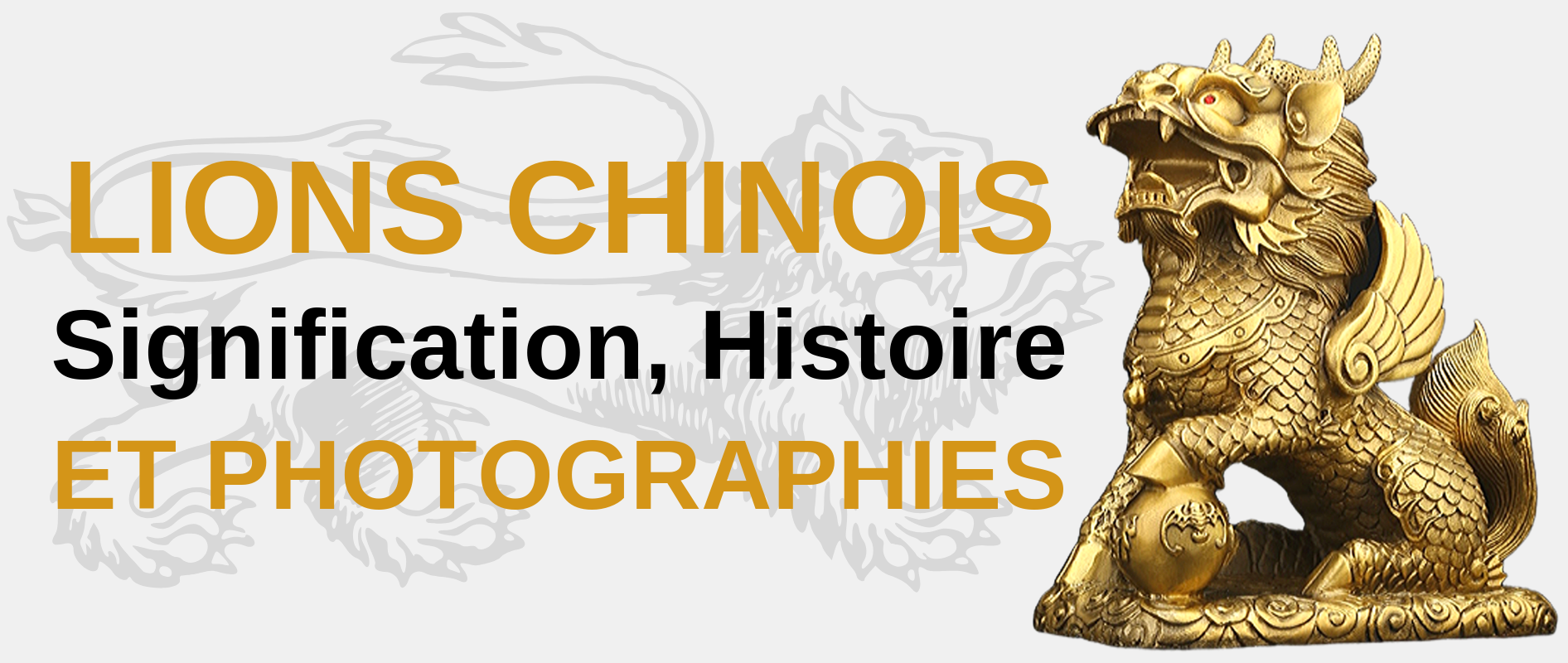 Lions chinois, significations, histoire et photographies.