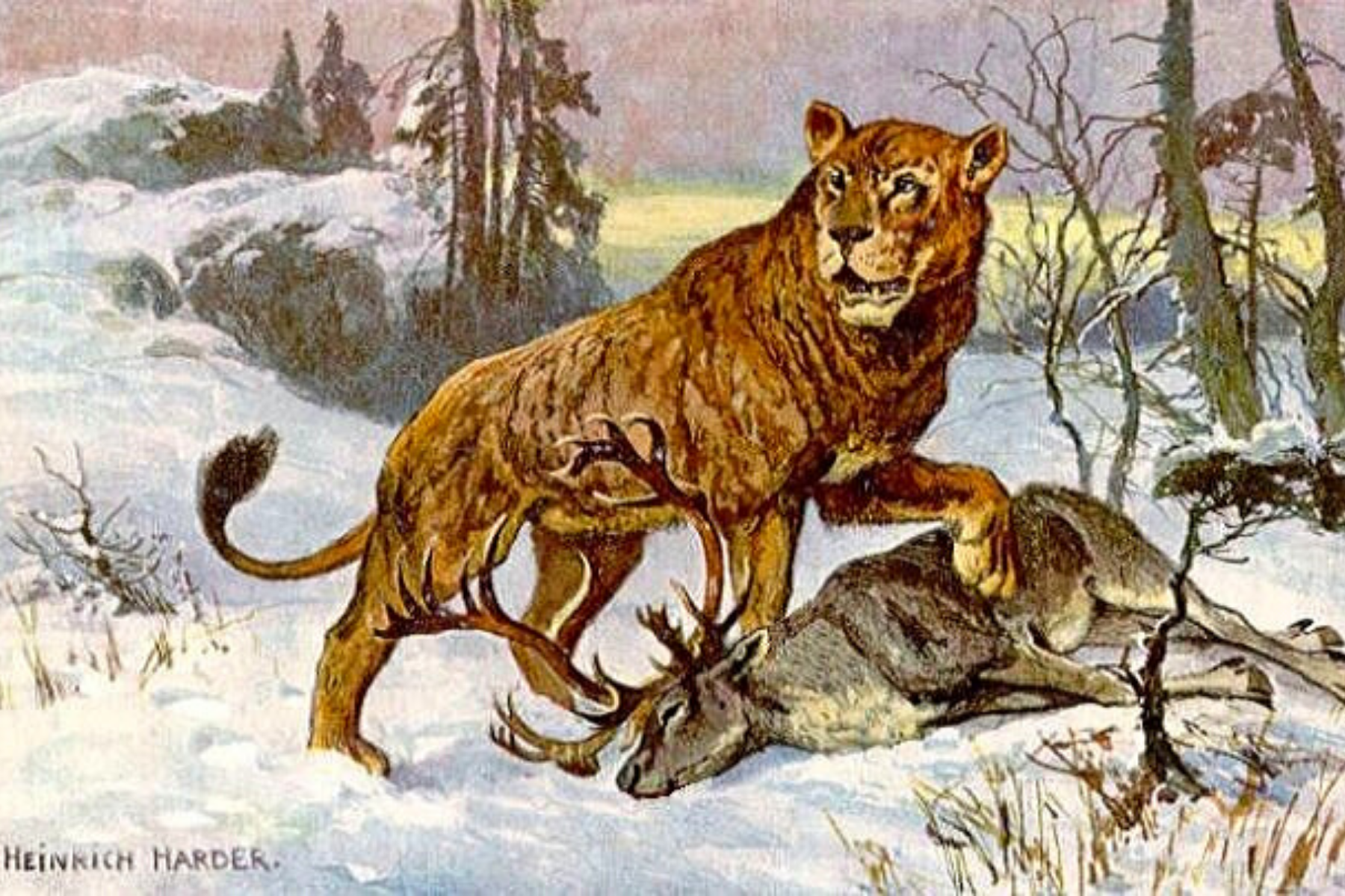 Lion des cavernes attaquant un cerf.