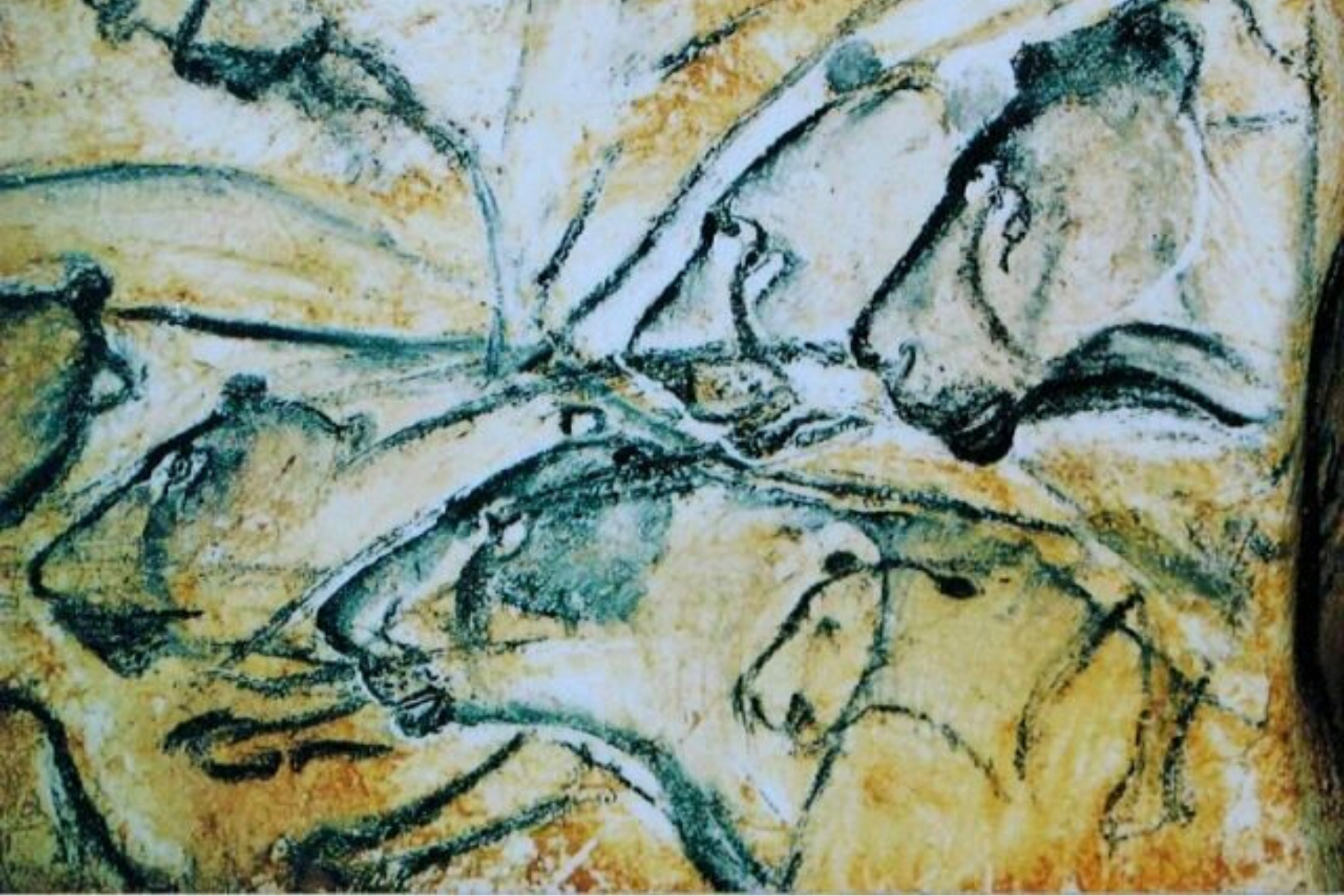 Peinture de lion des cavernes.
